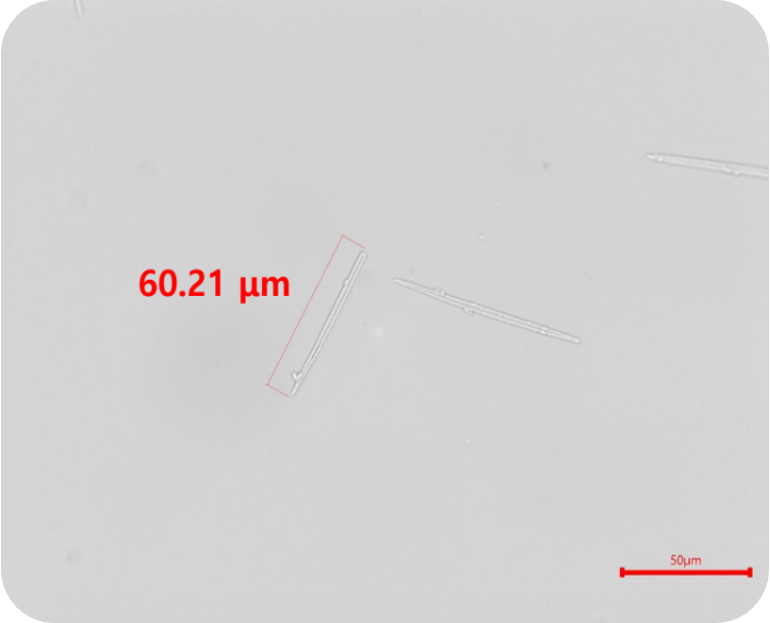 NEO SHOT microscopy image